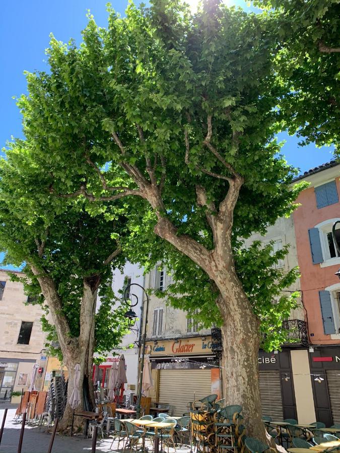 Appartamento Fleurs De Provence LʼIsle-sur-la-Sorgue Esterno foto