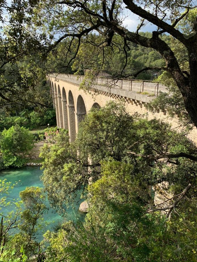 Appartamento Fleurs De Provence LʼIsle-sur-la-Sorgue Esterno foto