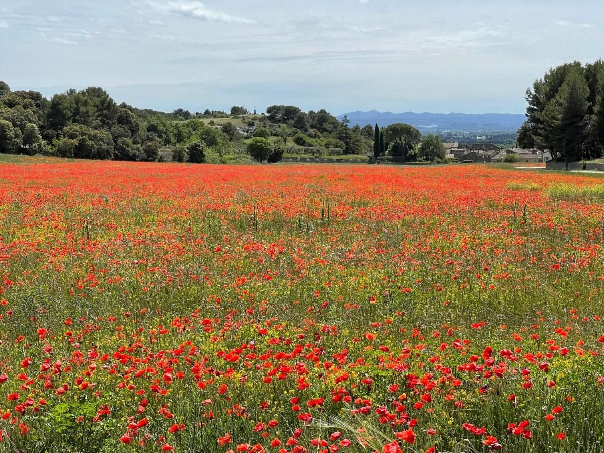 Appartamento Fleurs De Provence LʼIsle-sur-la-Sorgue Esterno foto
