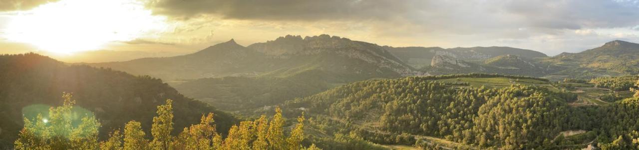 Appartamento Fleurs De Provence LʼIsle-sur-la-Sorgue Esterno foto