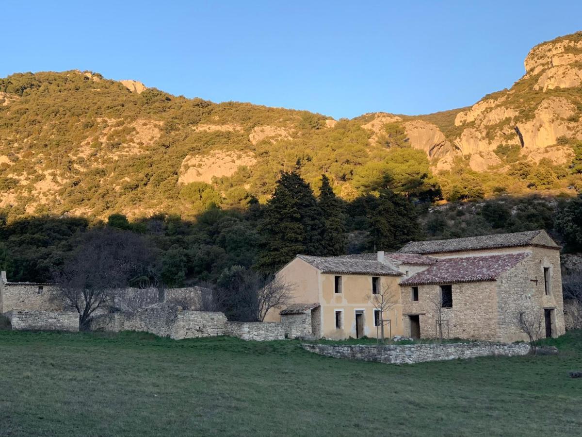 Appartamento Fleurs De Provence LʼIsle-sur-la-Sorgue Esterno foto